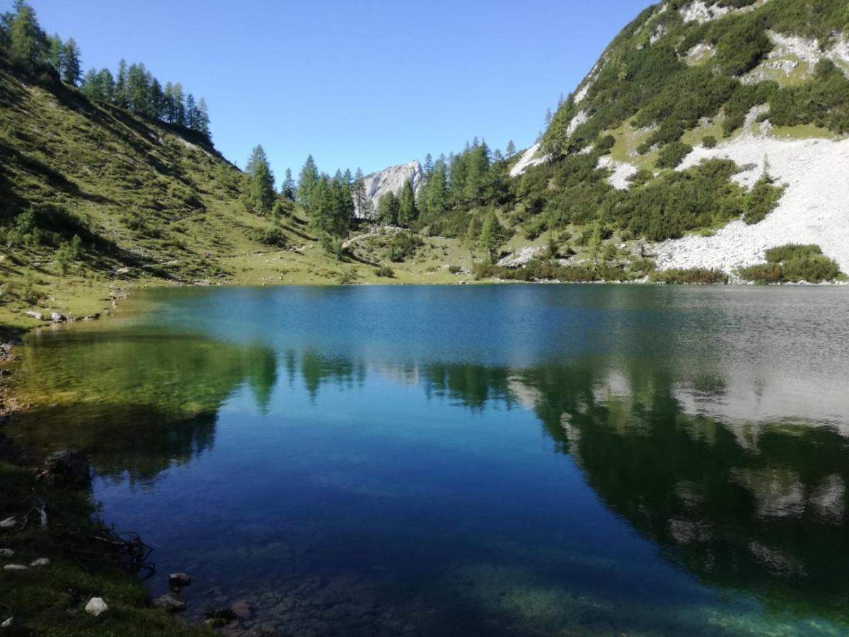 Schusterbauernhof Διαμέρισμα Bad Mitterndorf Εξωτερικό φωτογραφία
