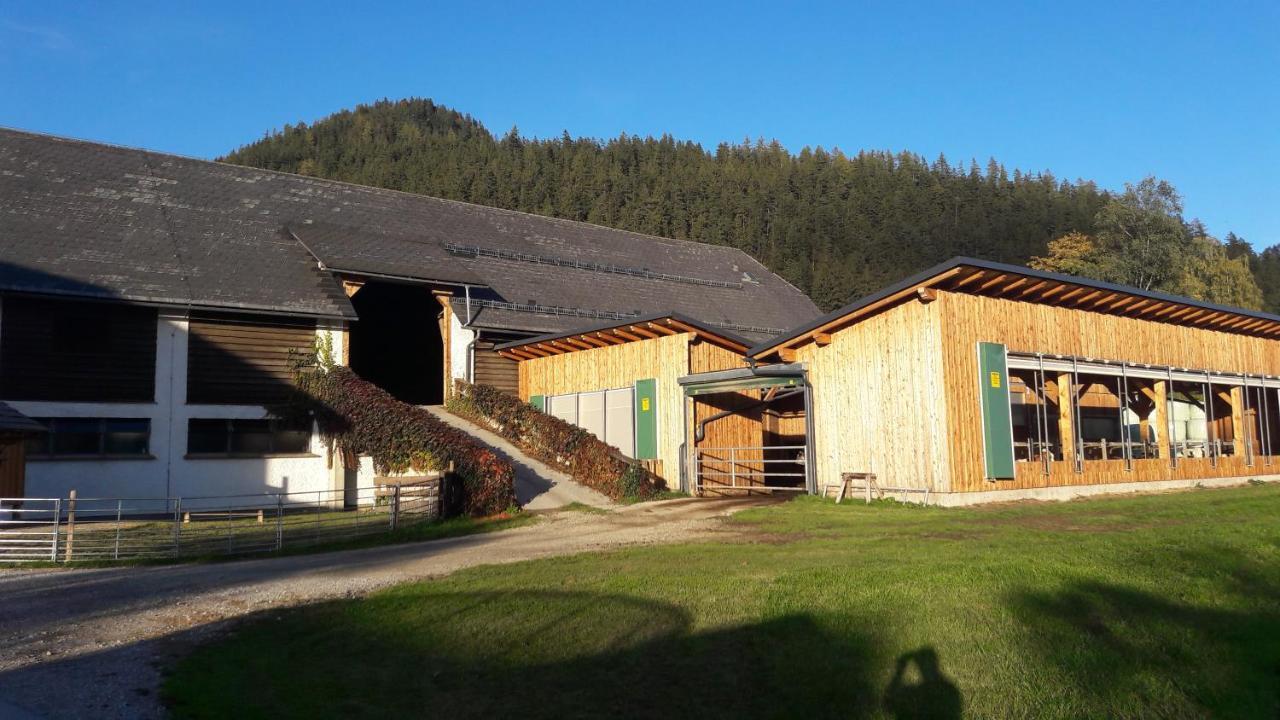 Schusterbauernhof Διαμέρισμα Bad Mitterndorf Εξωτερικό φωτογραφία